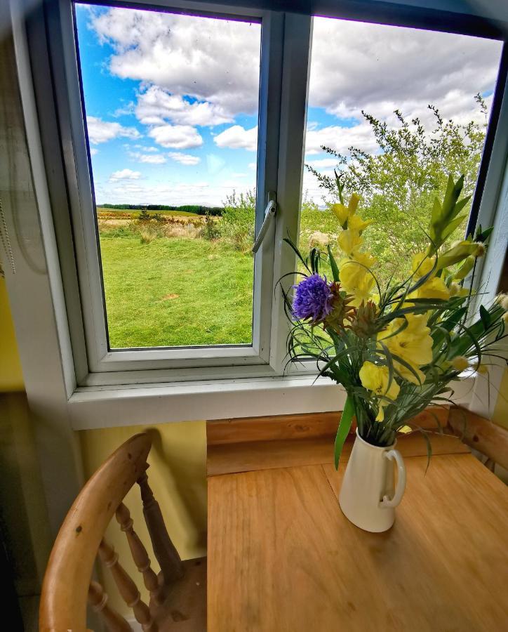 Bluebell Off-Grid Van Newton Stewart Buitenkant foto