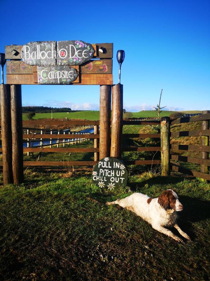 Bluebell Off-Grid Van Newton Stewart Buitenkant foto